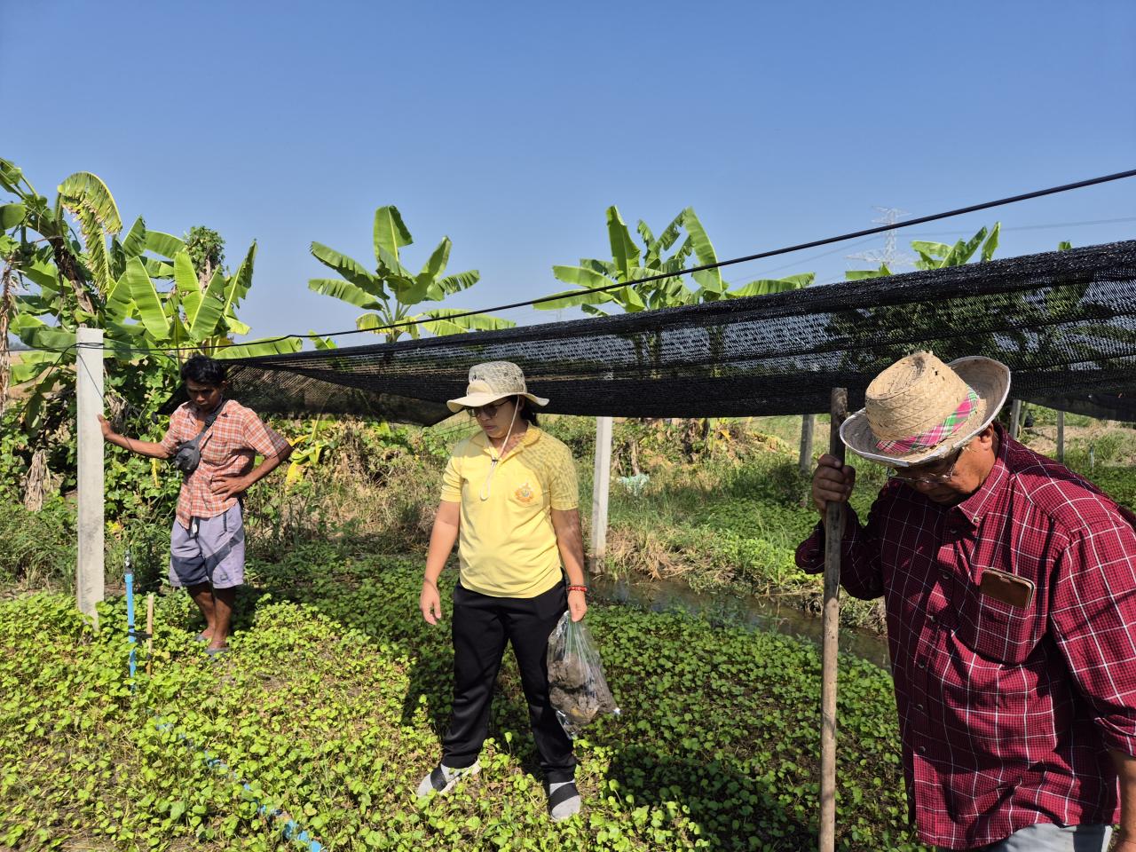 ภาพประกอบที่ 3