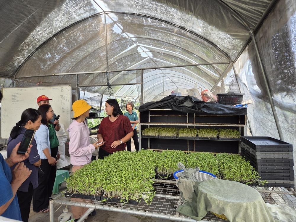 ภาพประกอบที่ 6