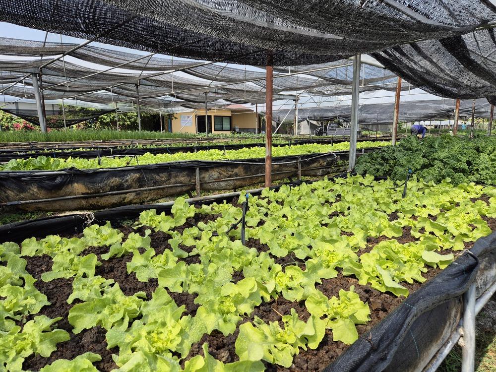 ภาพประกอบที่ 7