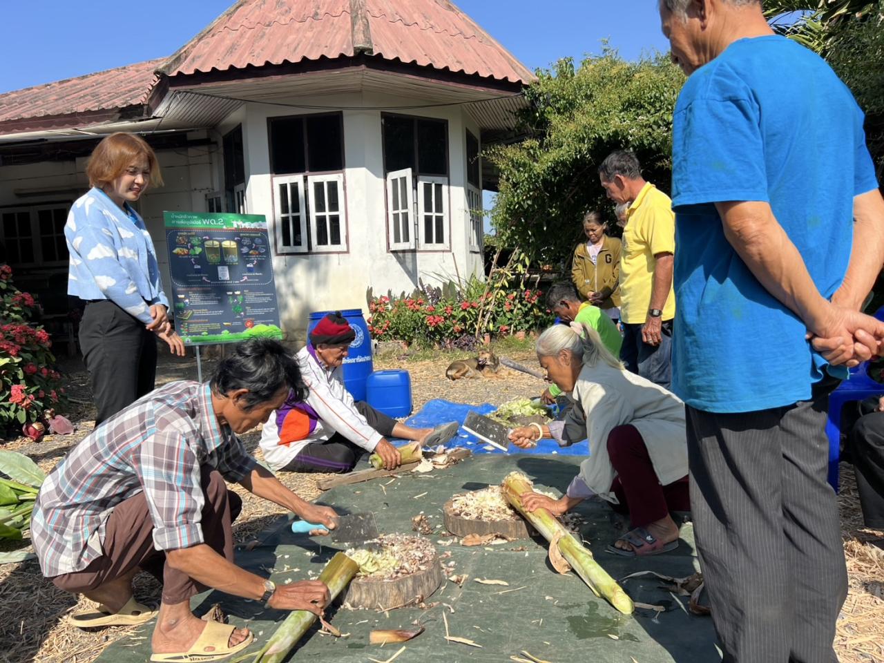 ภาพประกอบที่ 5