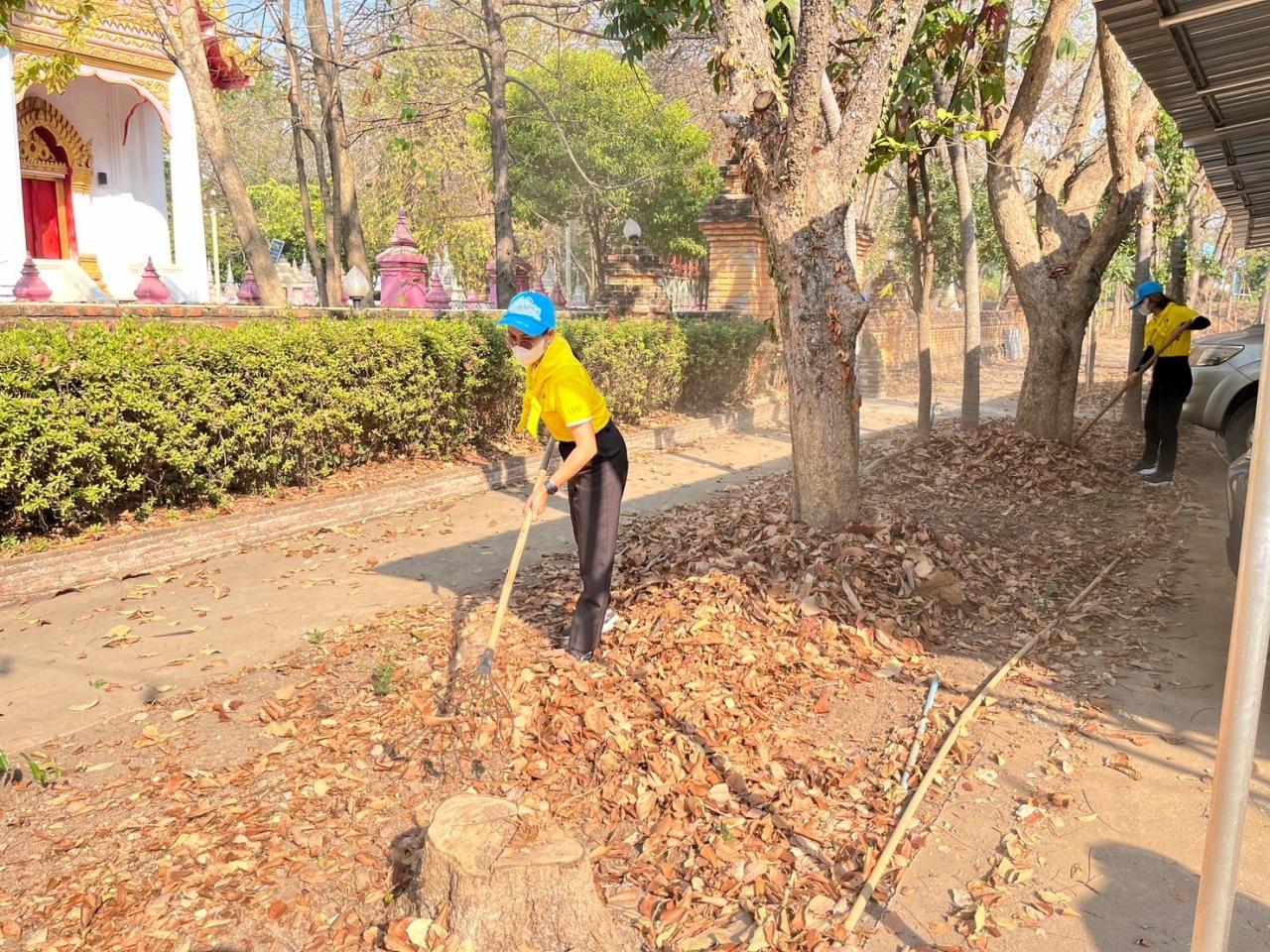 ภาพประกอบที่ 1
