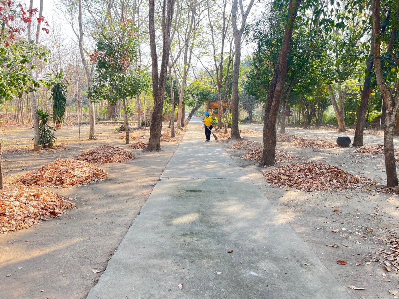 ภาพประกอบที่ 17