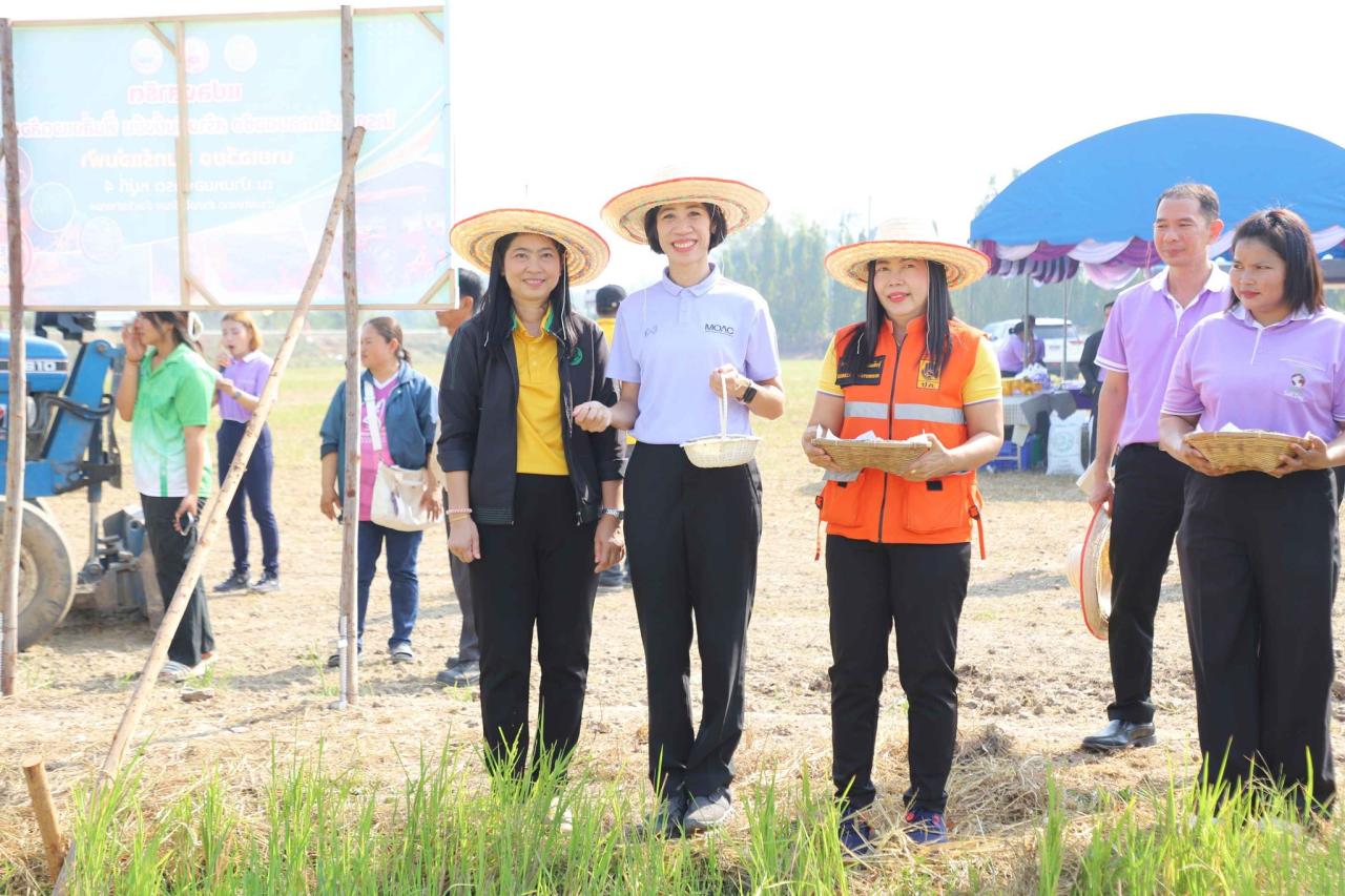 ภาพประกอบที่ 8