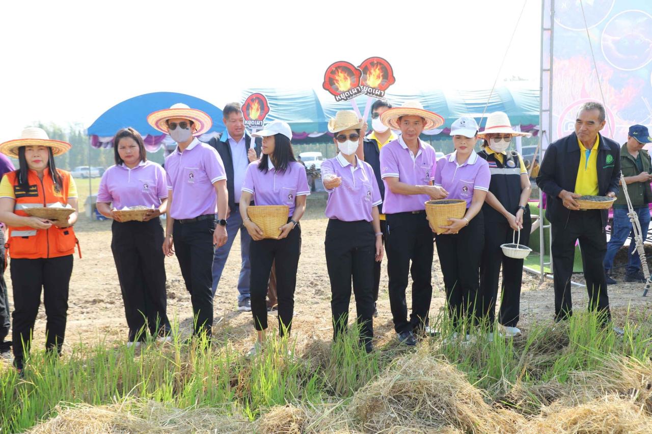 ภาพประกอบที่ 13