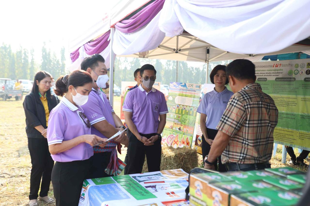 ภาพประกอบที่ 17