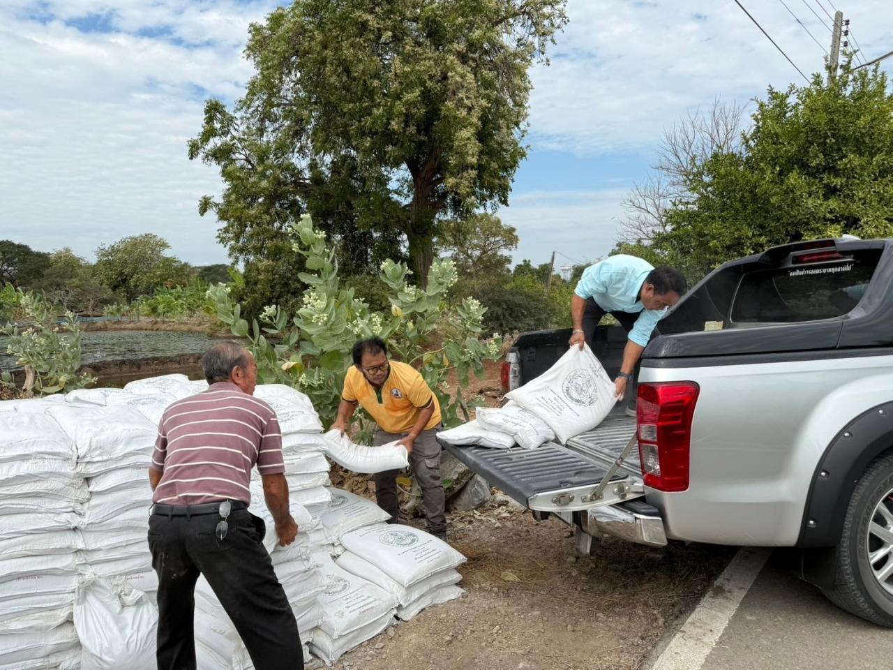 ภาพประกอบที่ 5