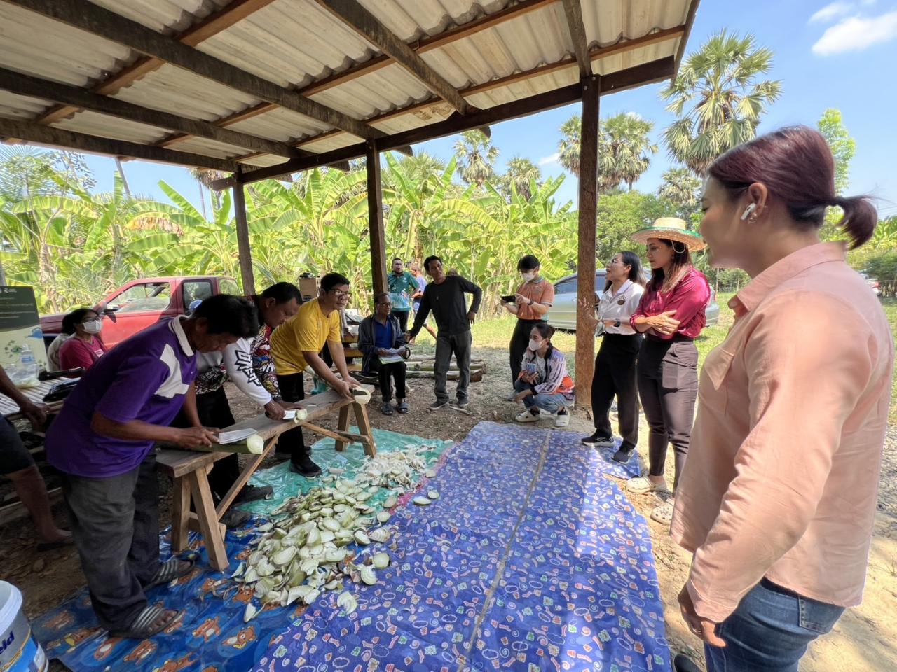 ภาพประกอบที่ 1