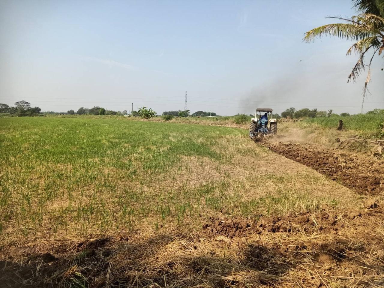 ภาพประกอบที่ 5