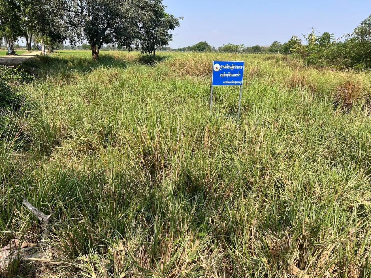 ภาพประกอบที่ 12