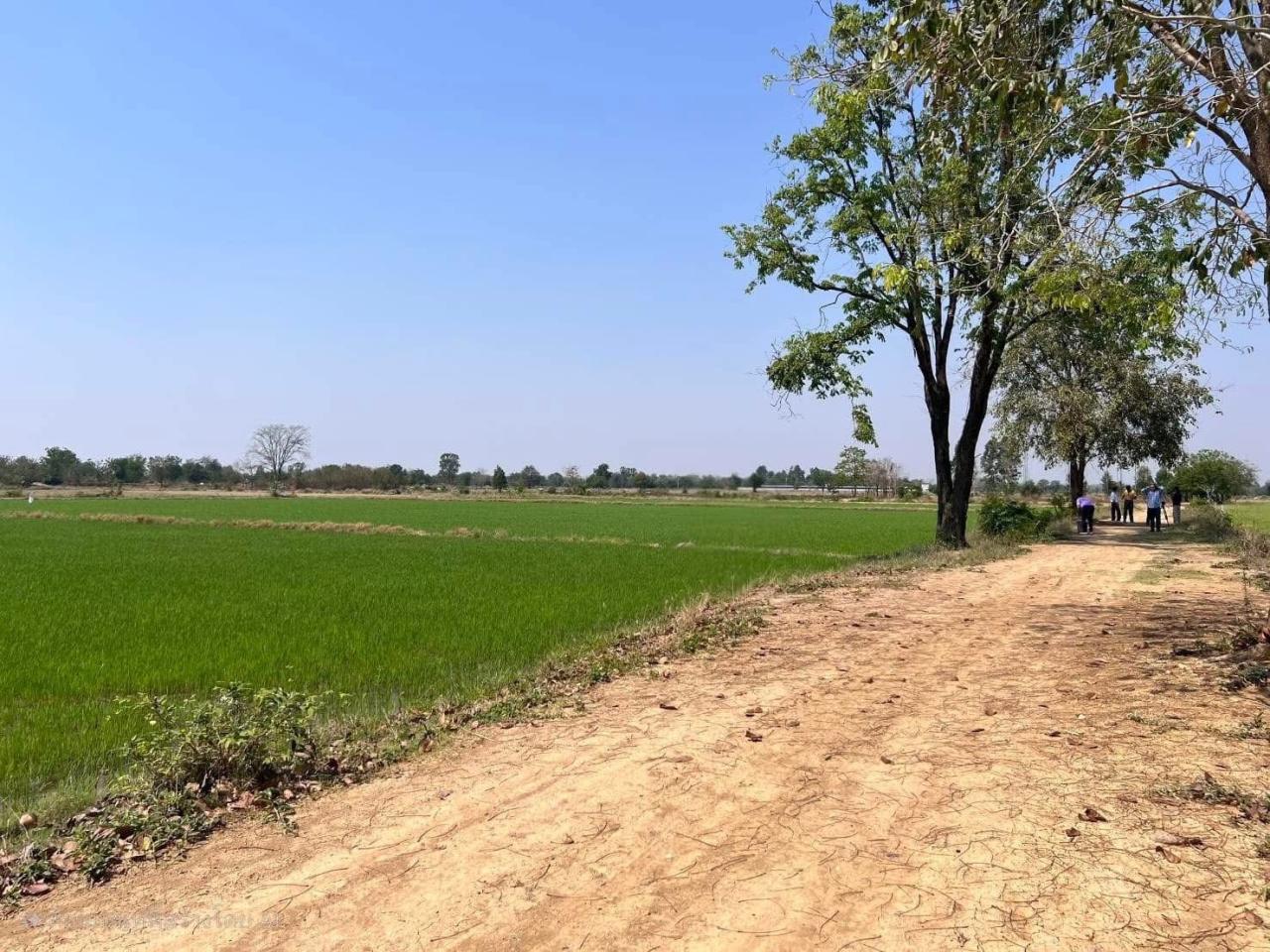 ภาพประกอบที่ 13