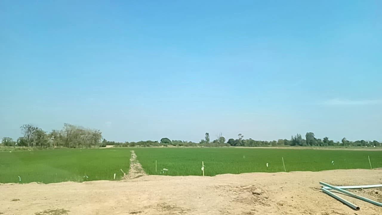 ภาพประกอบที่ 14