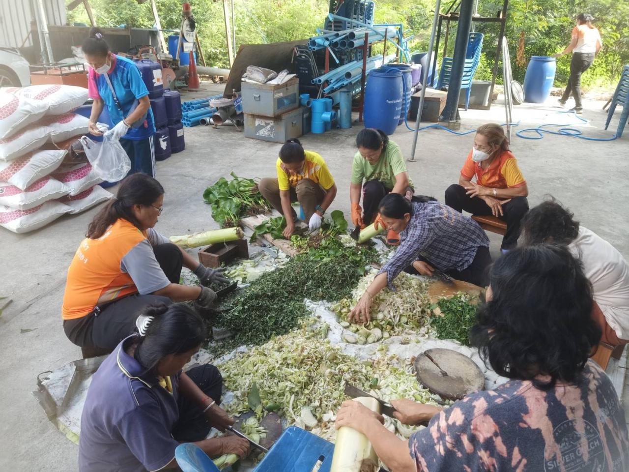 ภาพประกอบที่ 5