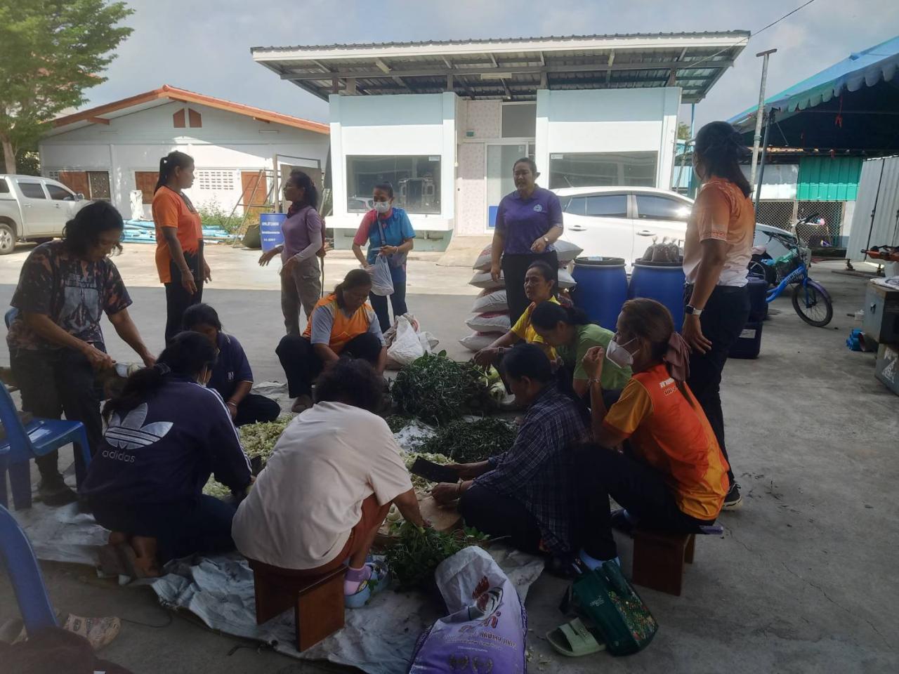 ภาพประกอบที่ 7