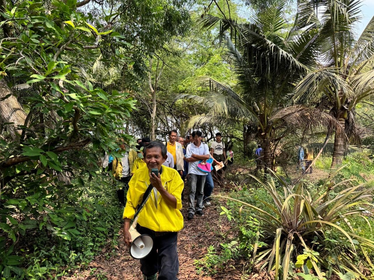 ภาพประกอบที่ 11