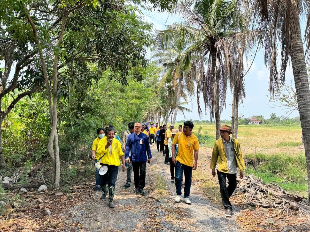 ภาพประกอบที่ 15