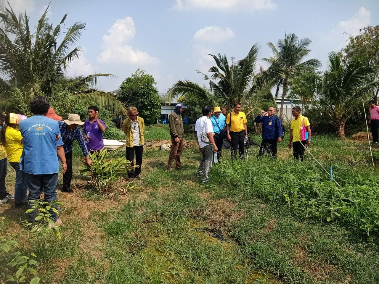 ภาพประกอบที่ 20