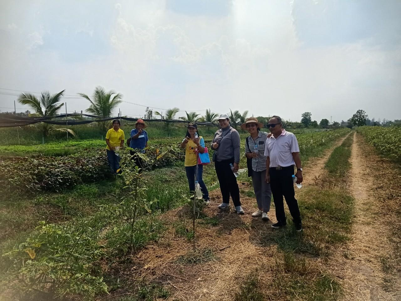 ภาพประกอบที่ 21