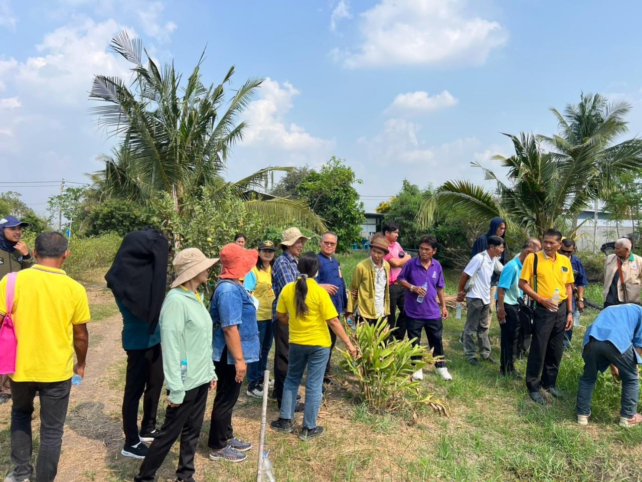 ภาพประกอบที่ 24