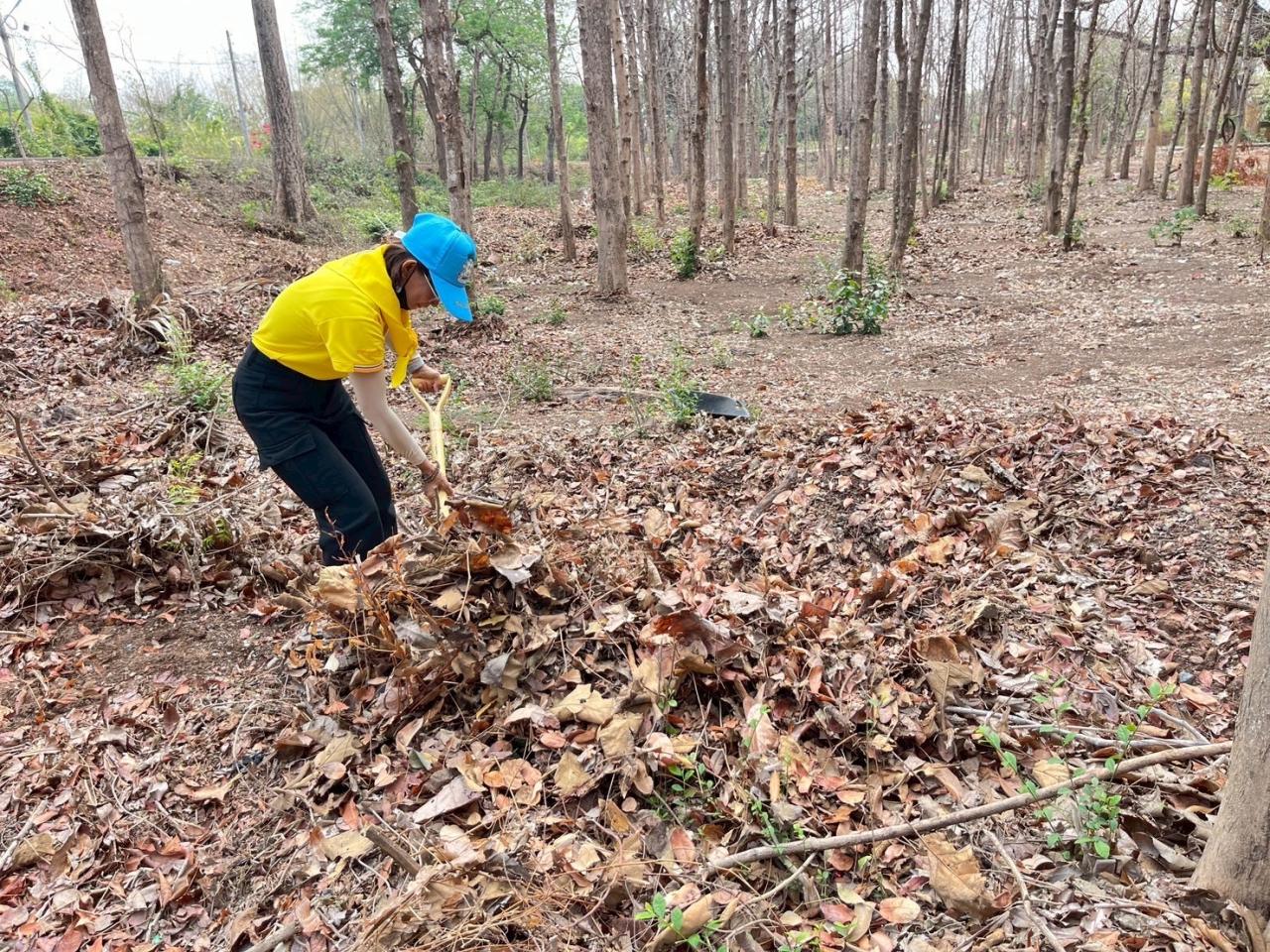 ภาพประกอบที่ 13