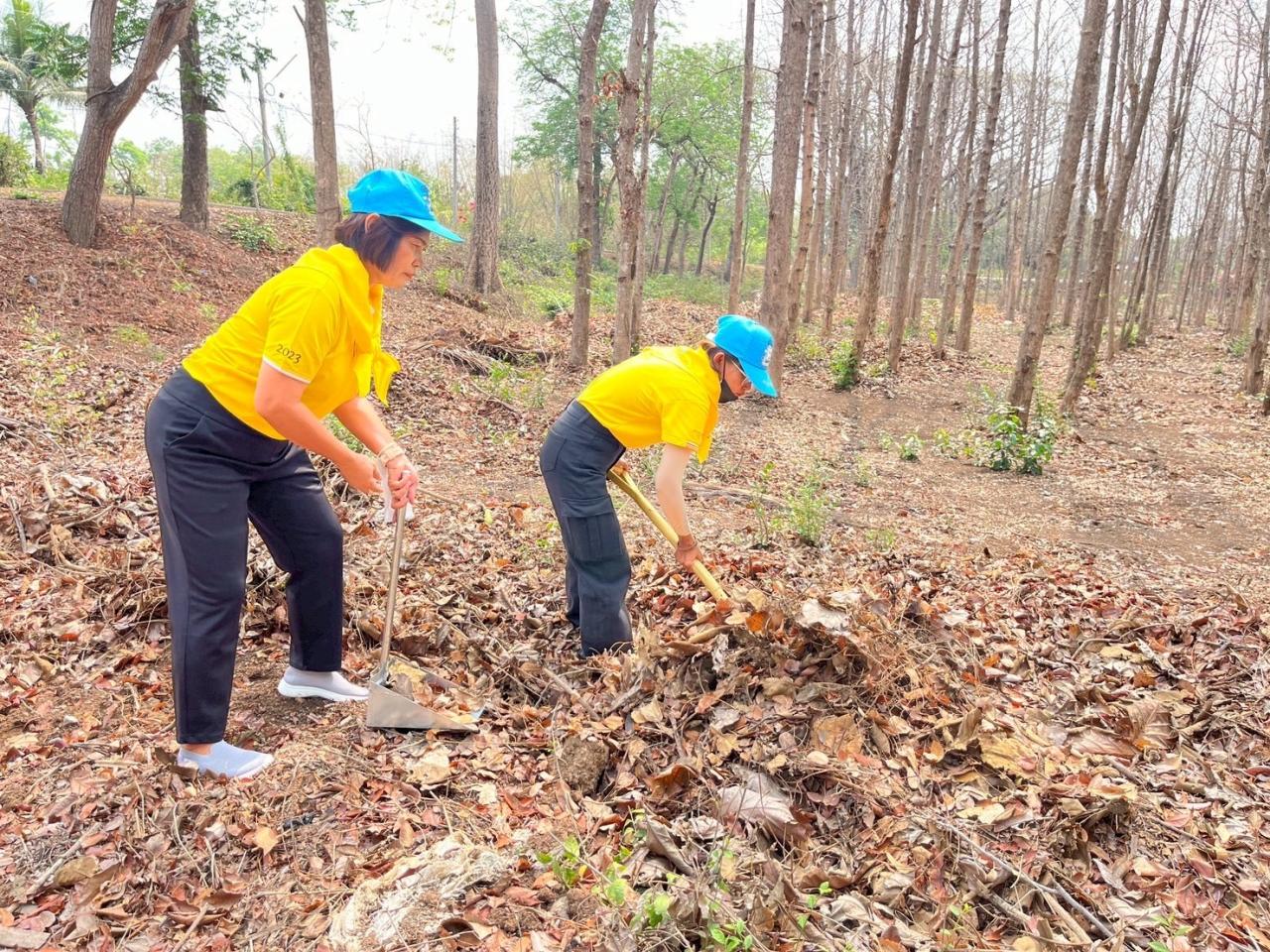 ภาพประกอบที่ 19