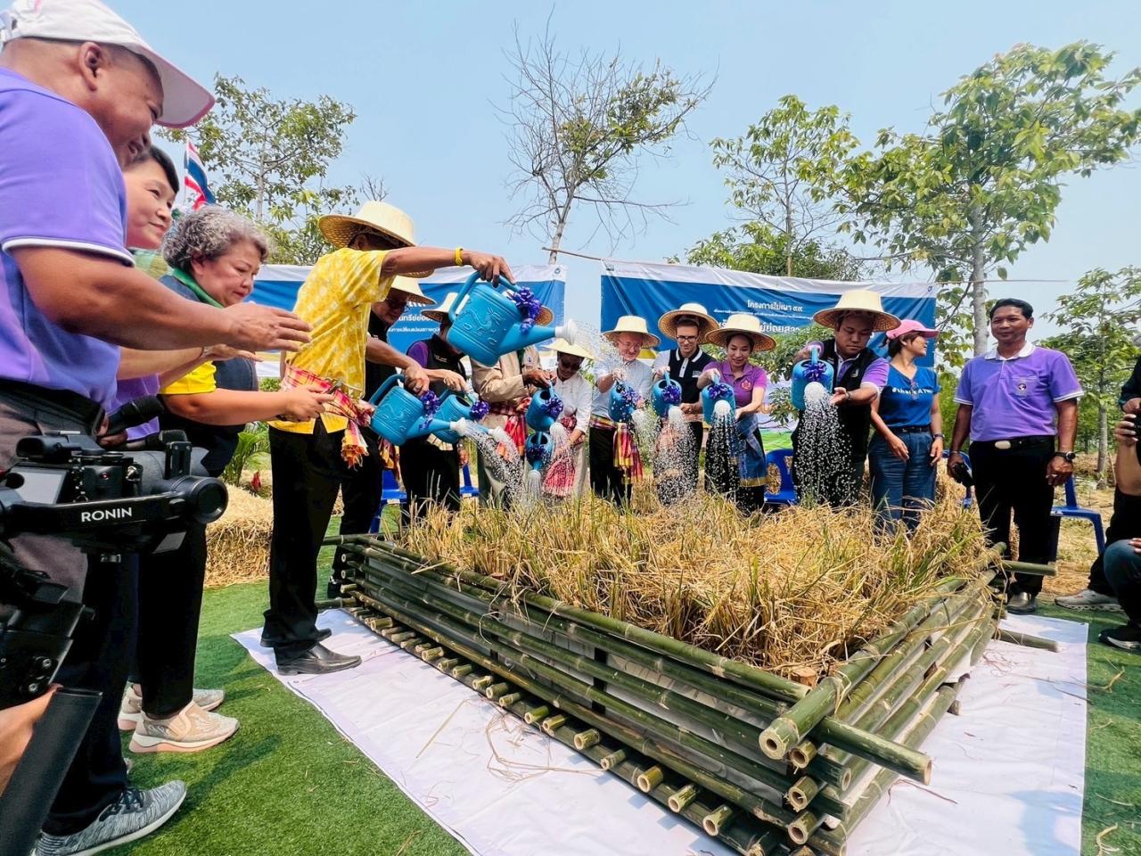 ภาพประกอบที่ 1