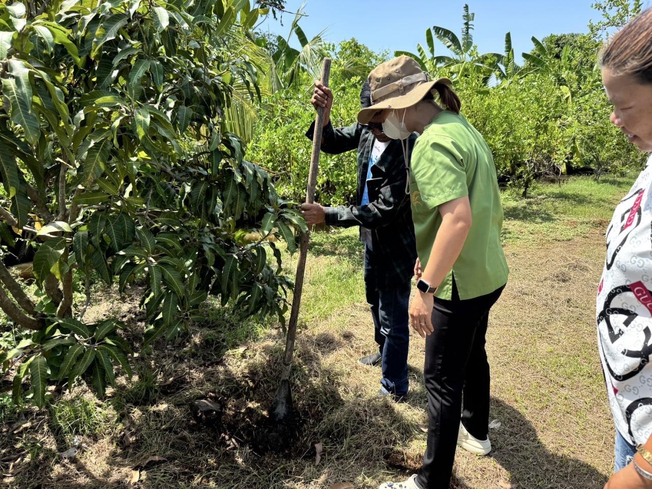 ภาพประกอบที่ 4