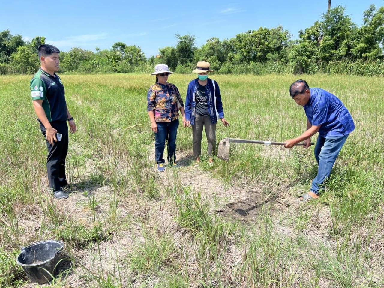 ภาพประกอบที่ 7