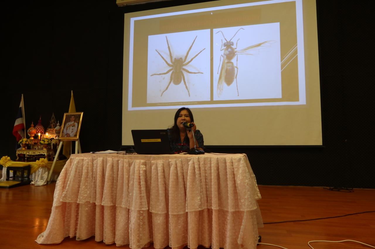 ภาพประกอบที่ 43