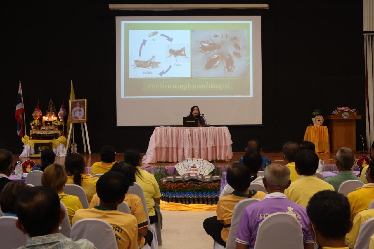 ภาพประกอบที่ 44