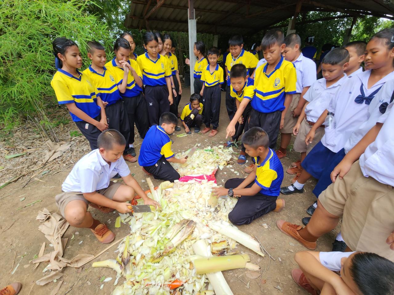 ภาพประกอบที่ 6