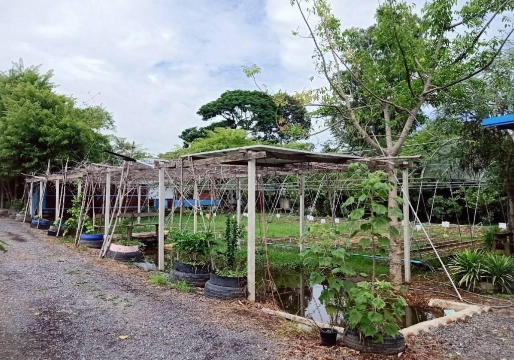 ภาพประกอบที่ 2