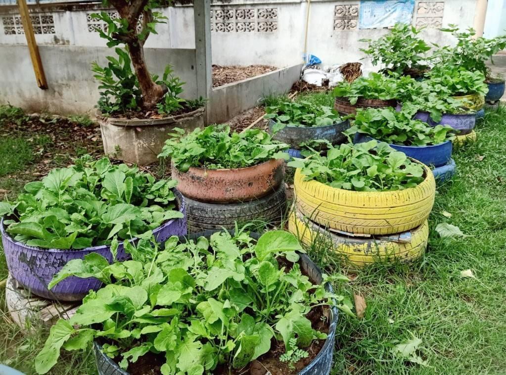 ภาพประกอบที่ 3