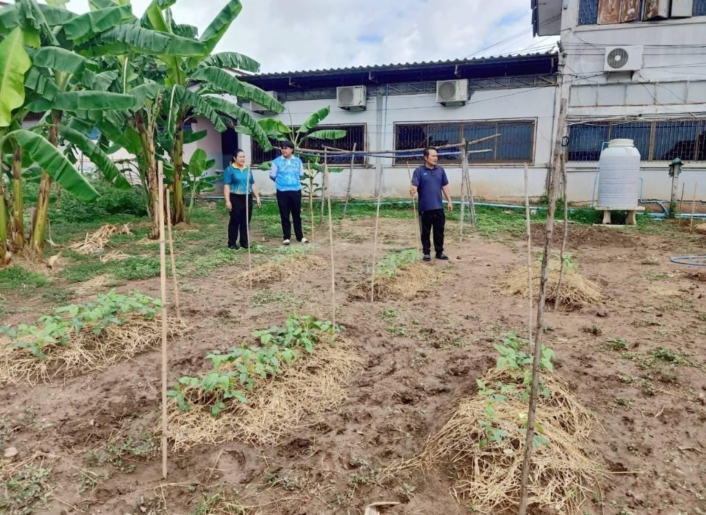 ภาพประกอบที่ 4