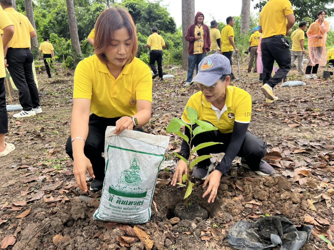 ภาพประกอบที่ 2
