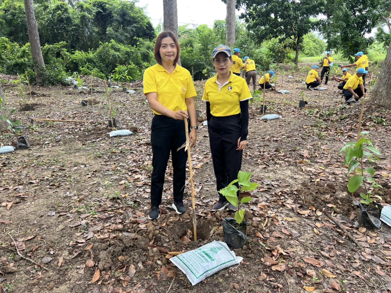 ภาพประกอบที่ 3