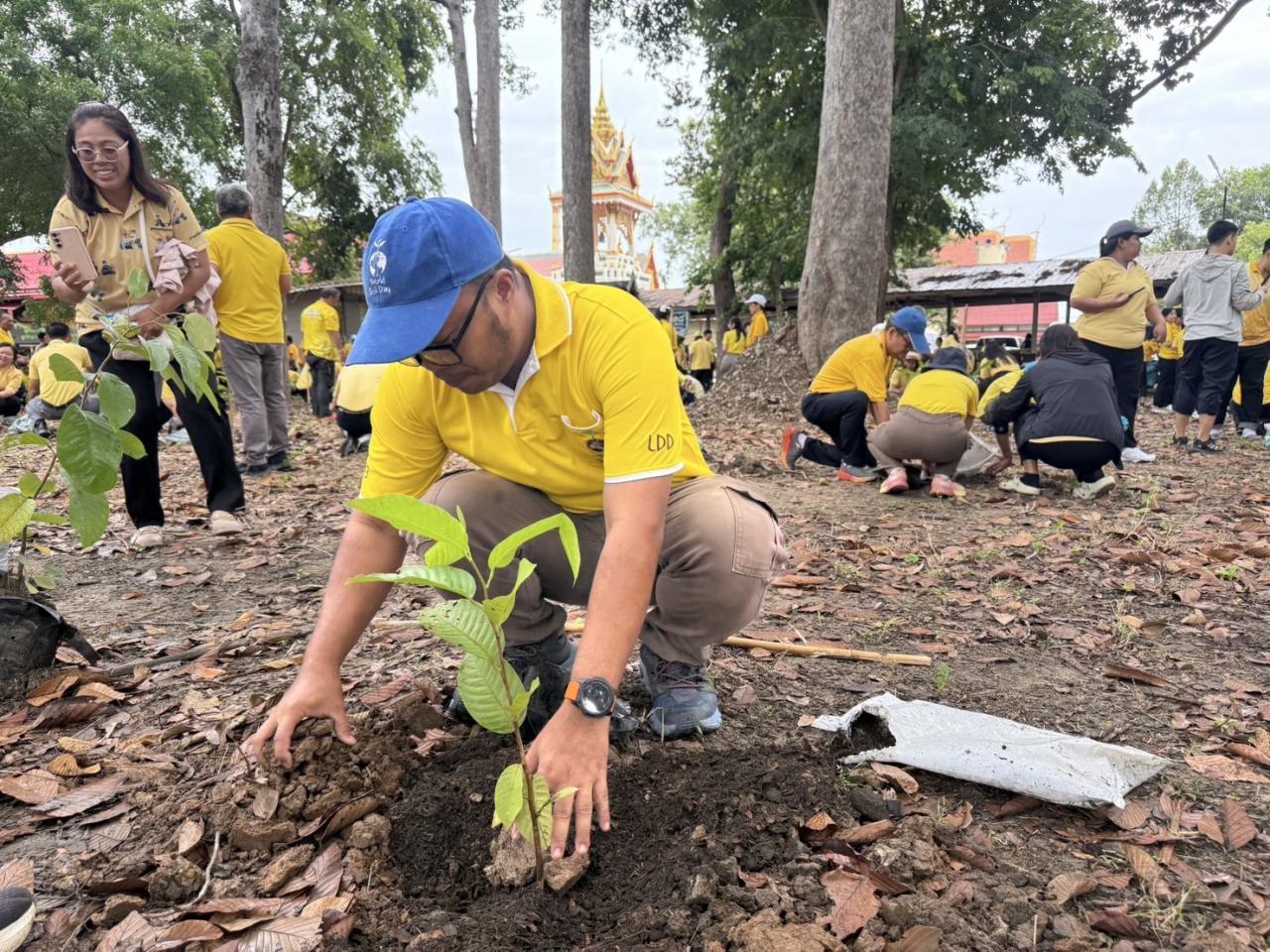 ภาพประกอบที่ 4