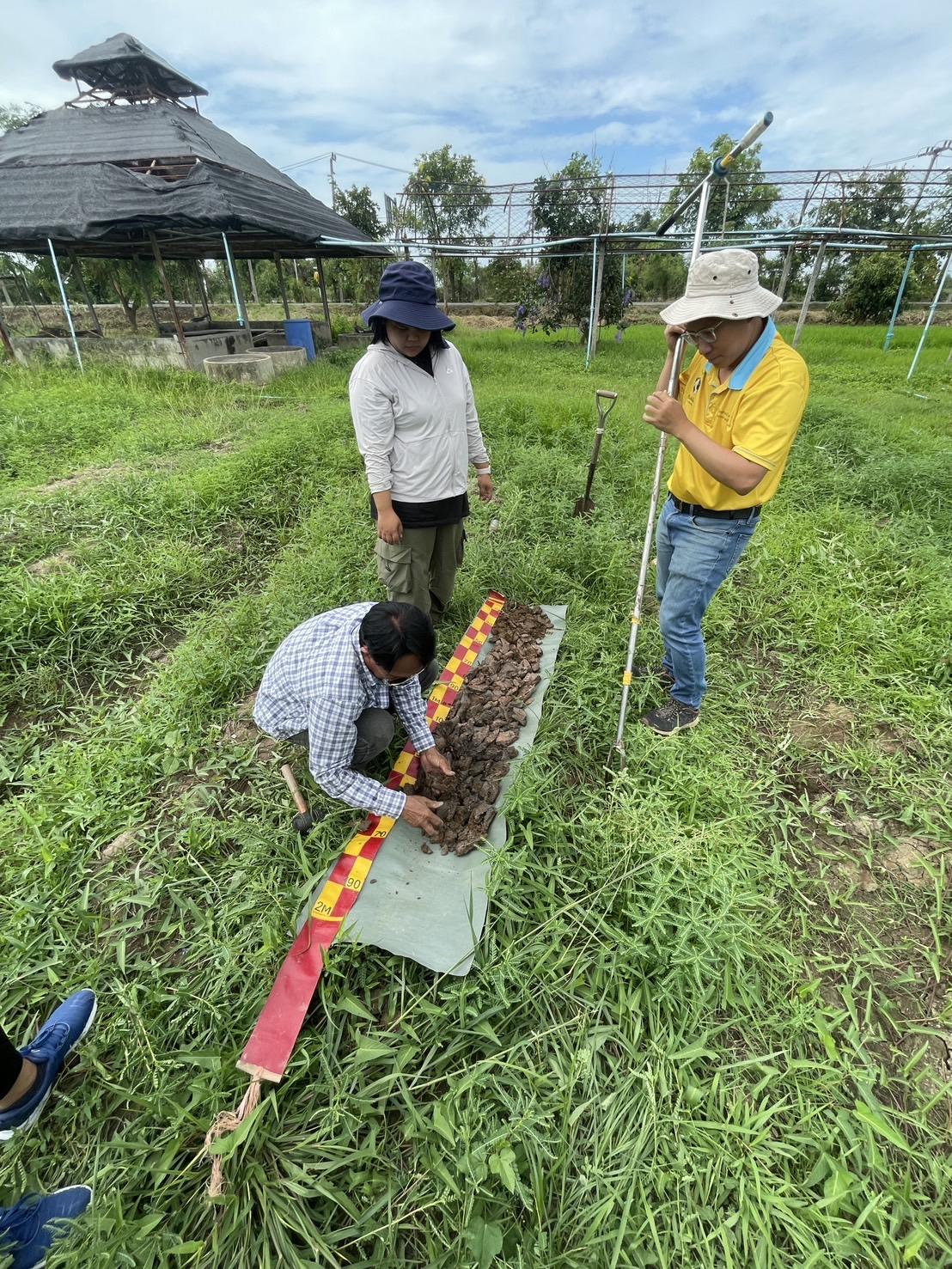 ภาพประกอบที่ 0