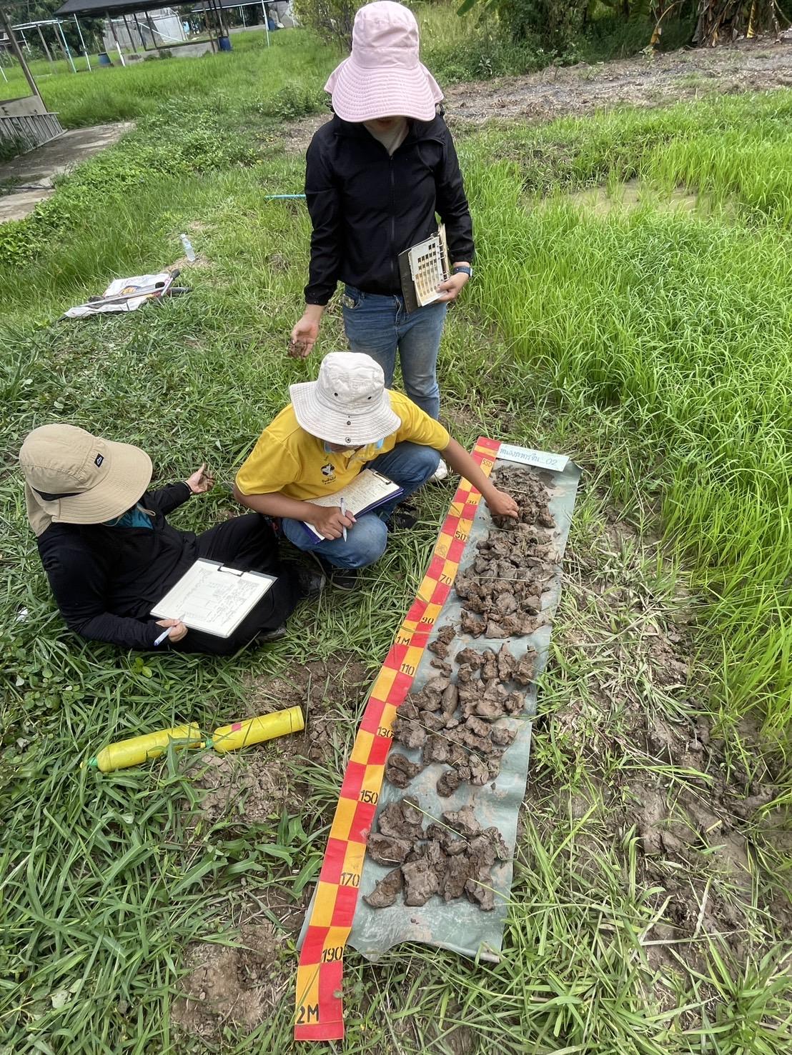 ภาพประกอบที่ 1