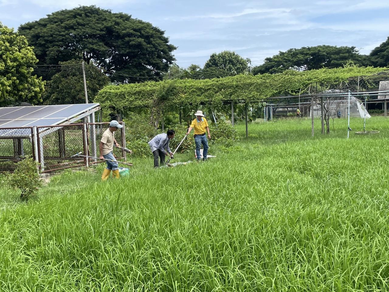 ภาพประกอบที่ 2