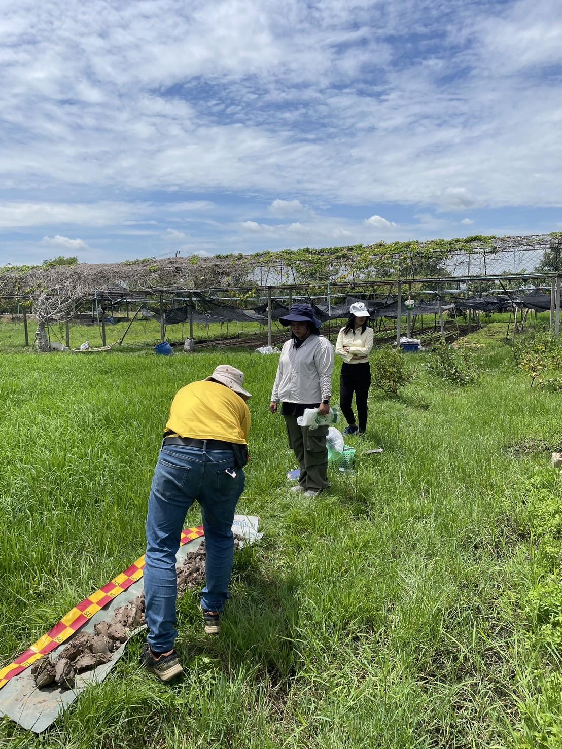 ภาพประกอบที่ 4