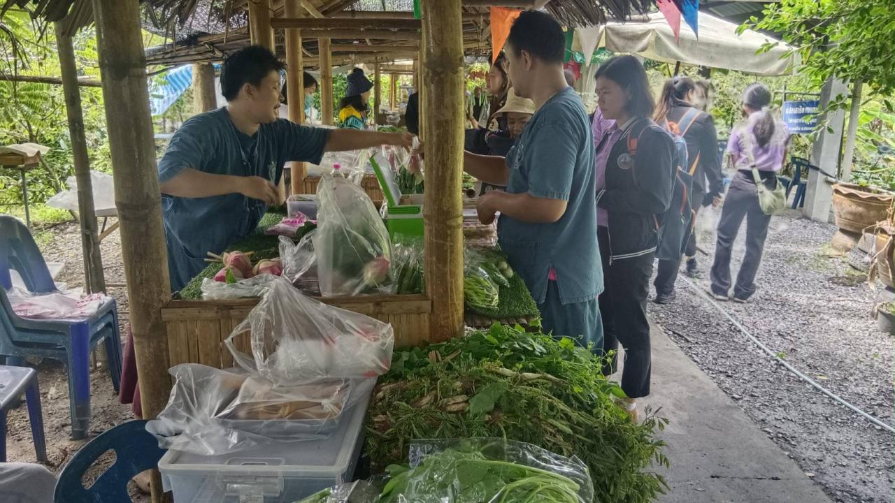 ภาพประกอบที่ 6
