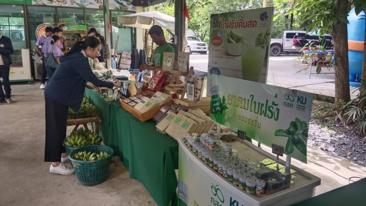 ภาพประกอบที่ 7