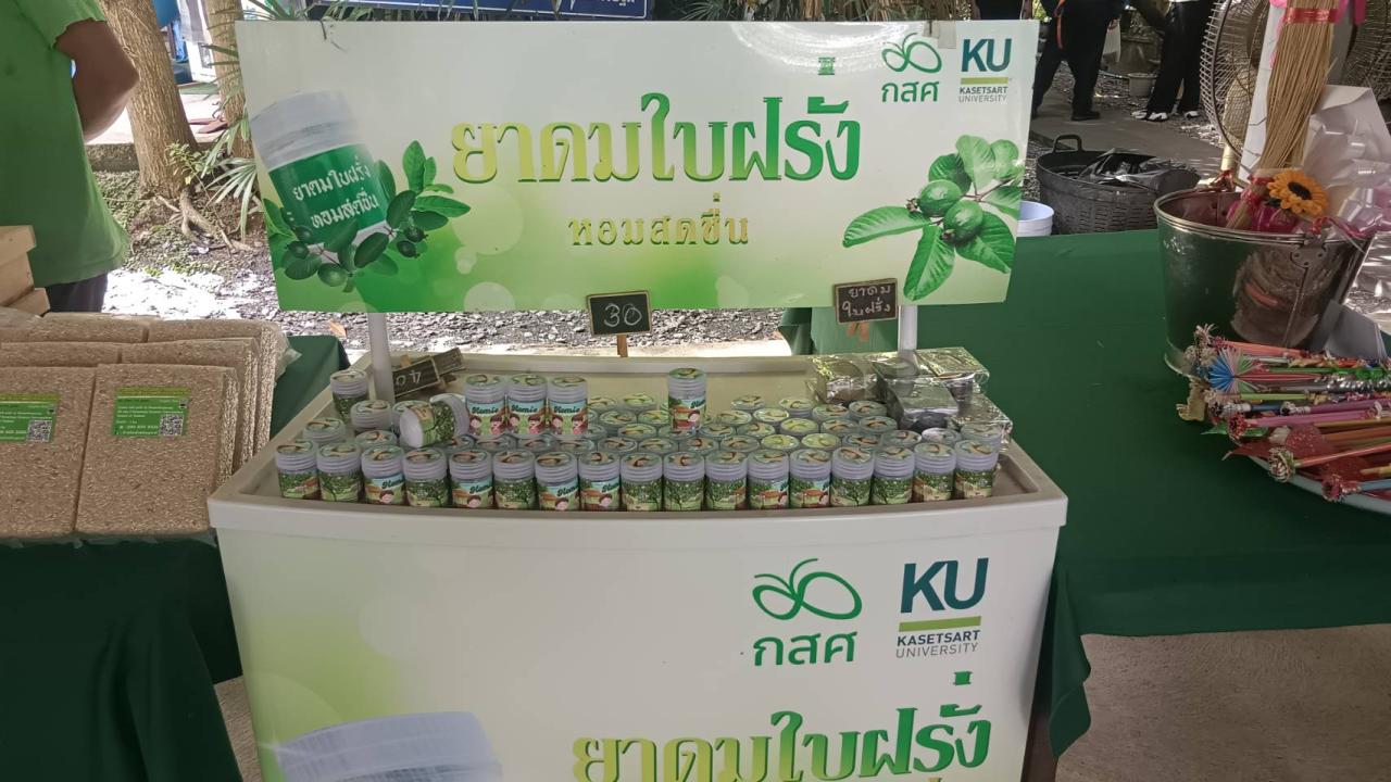 ภาพประกอบที่ 11