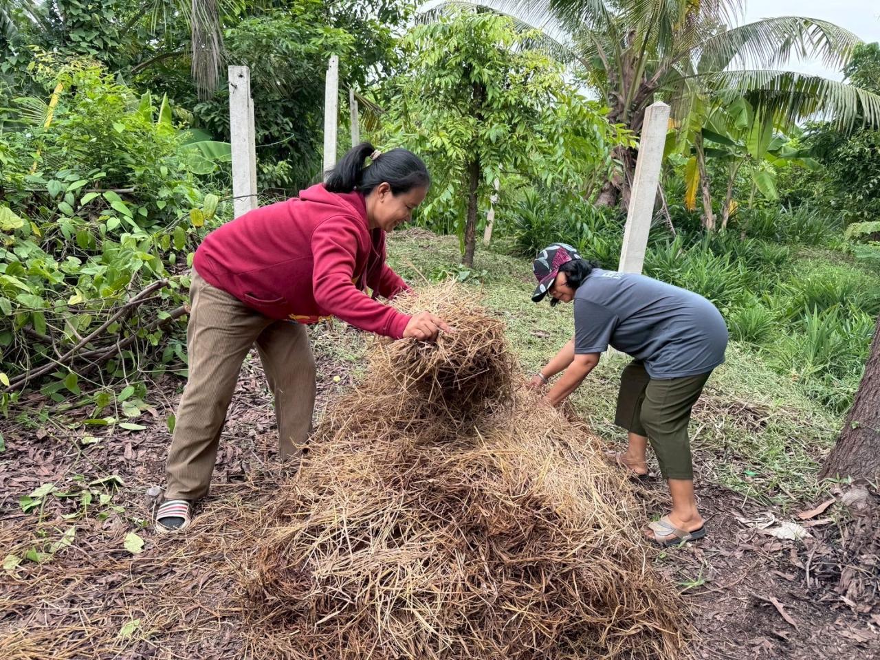 ภาพประกอบที่ 2