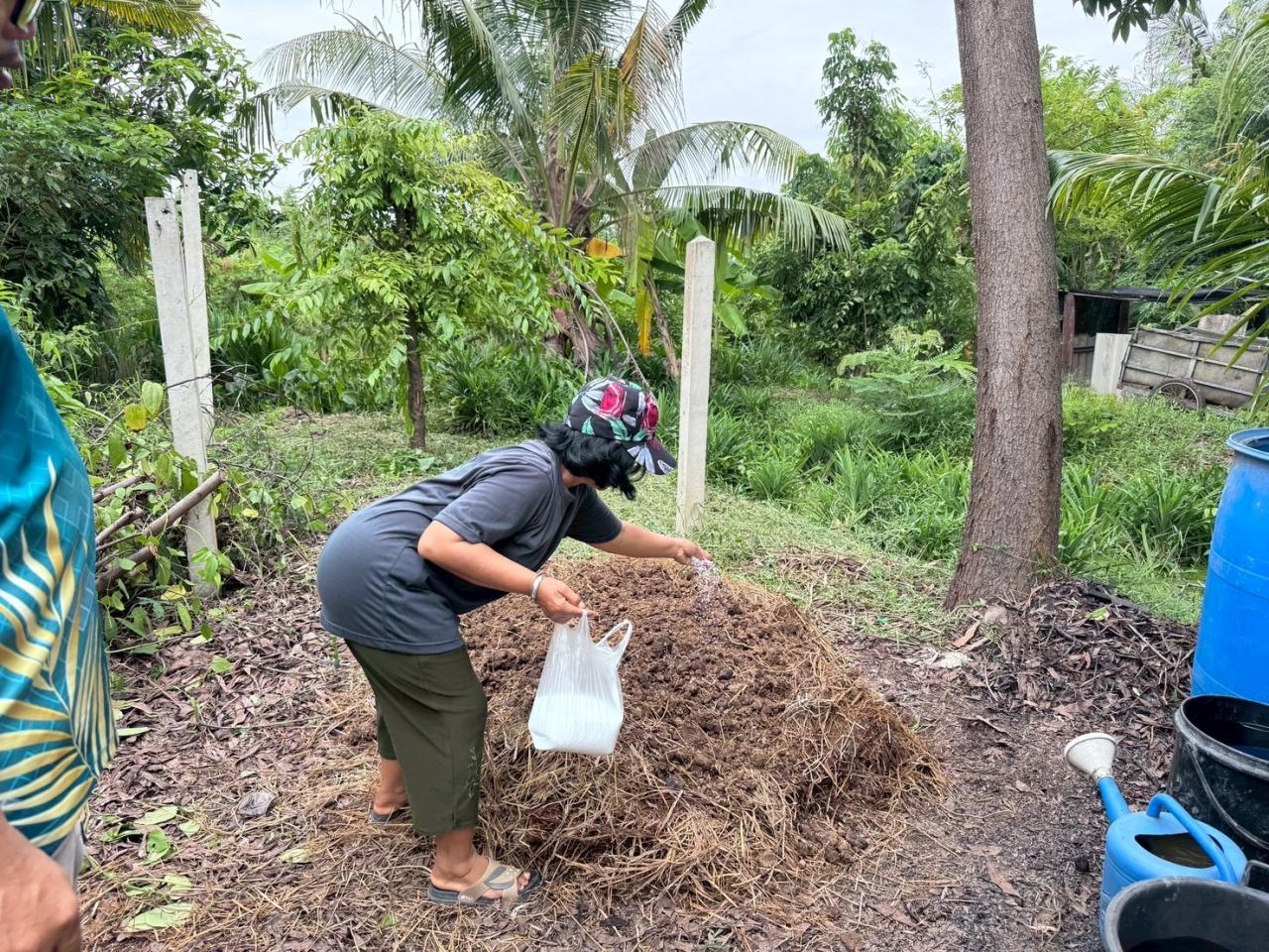 ภาพประกอบที่ 5