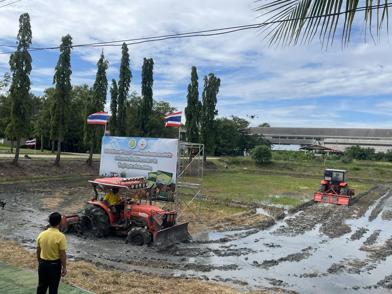 ภาพประกอบที่ 1