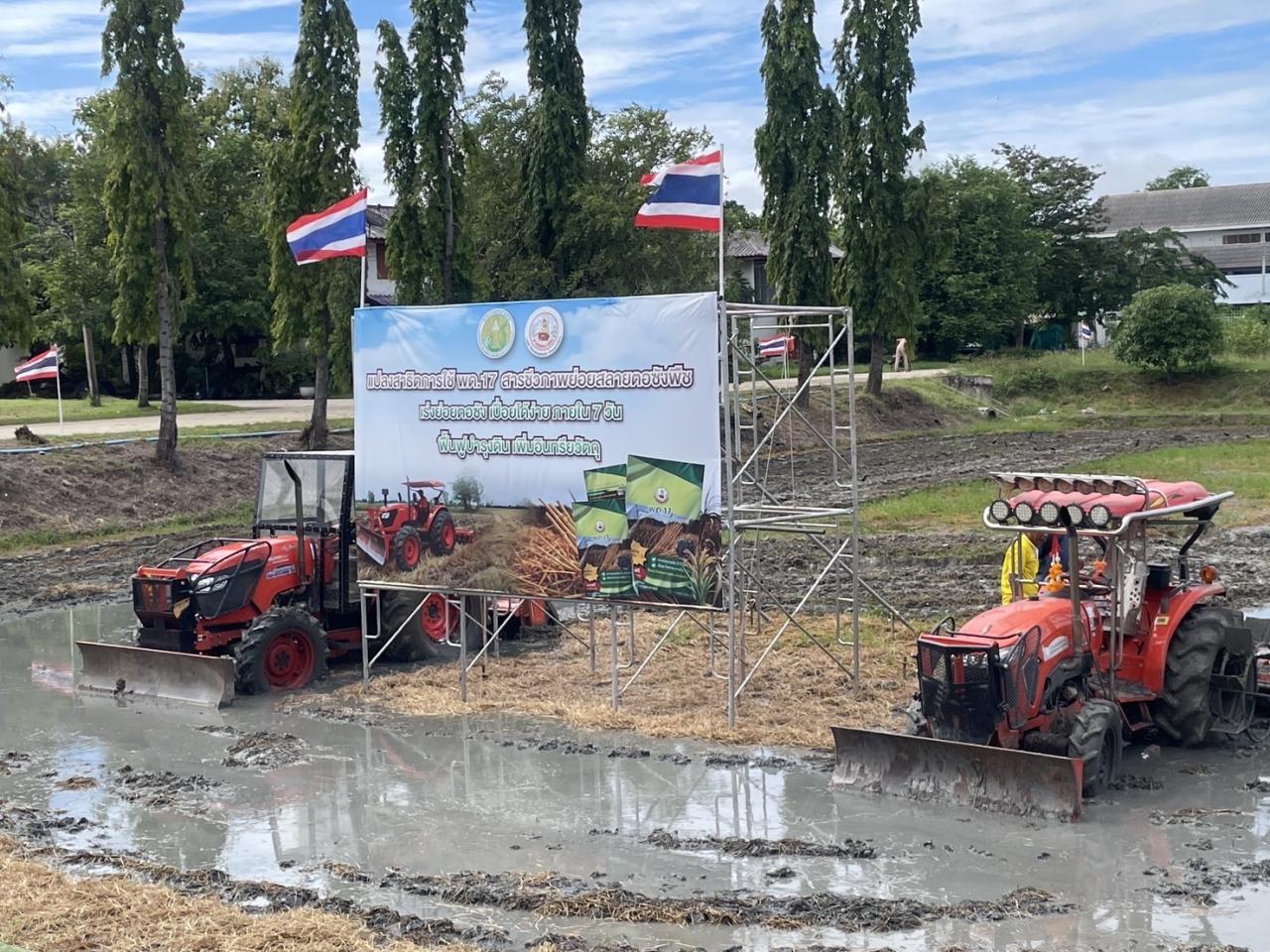 ภาพประกอบที่ 6