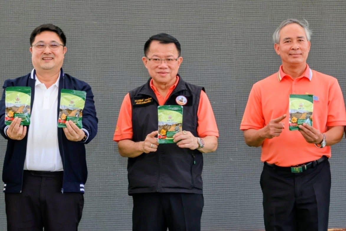 ภาพประกอบที่ 2