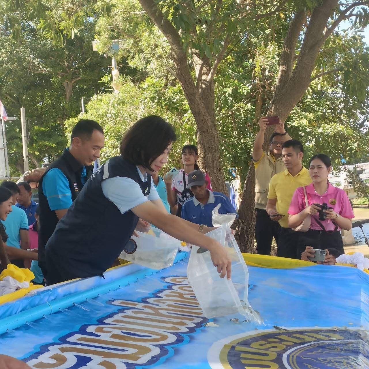 ภาพประกอบที่ 3