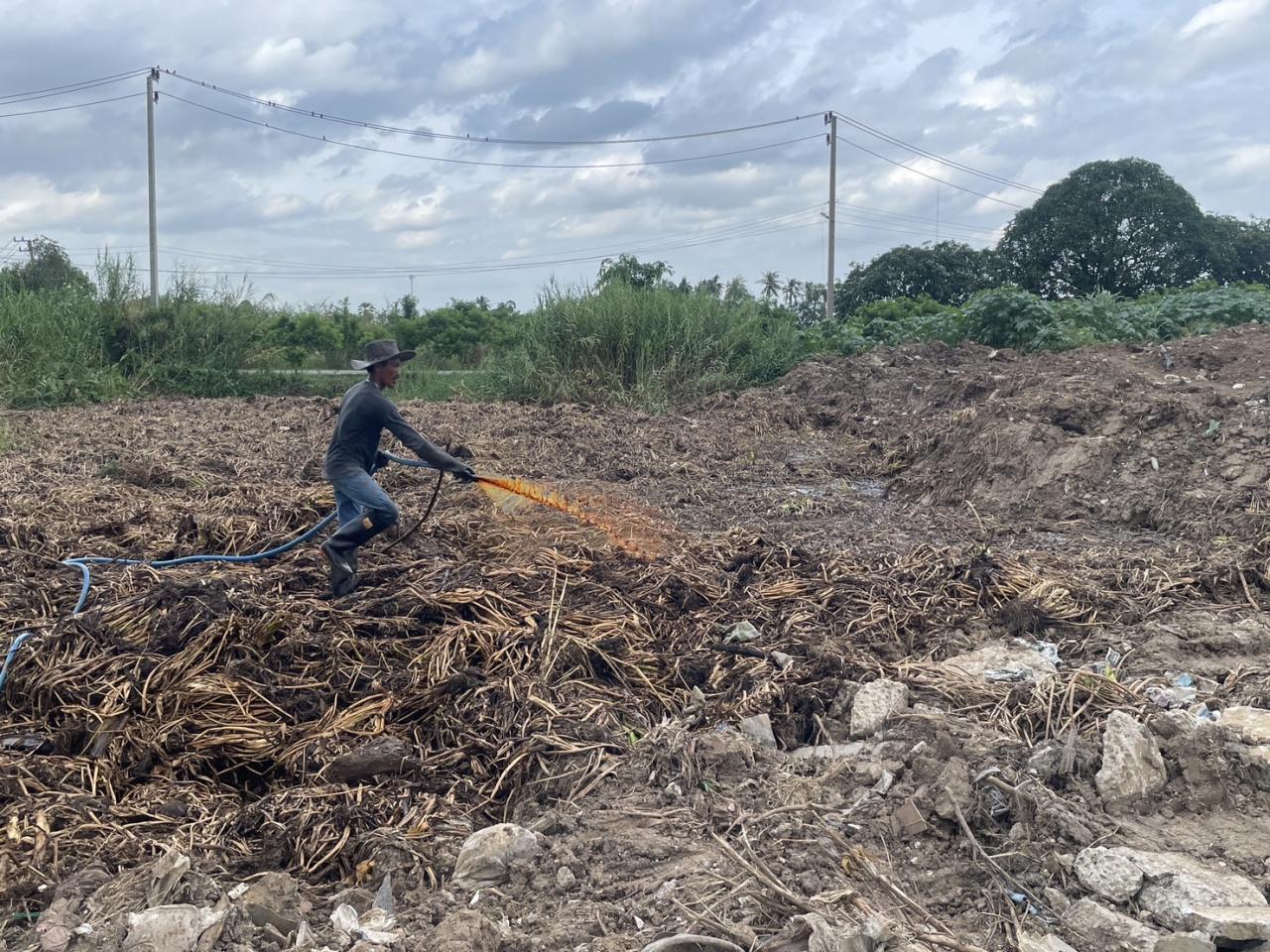 ภาพประกอบที่ 4